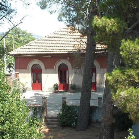 B&B Sotto I Pini Zafferana Etnea Luaran gambar