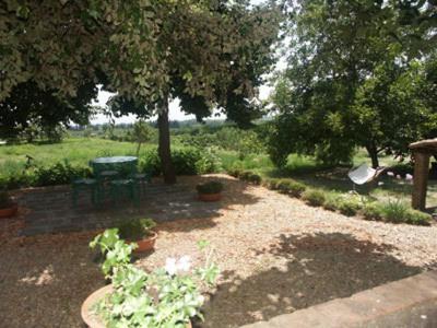 B&B Sotto I Pini Zafferana Etnea Luaran gambar